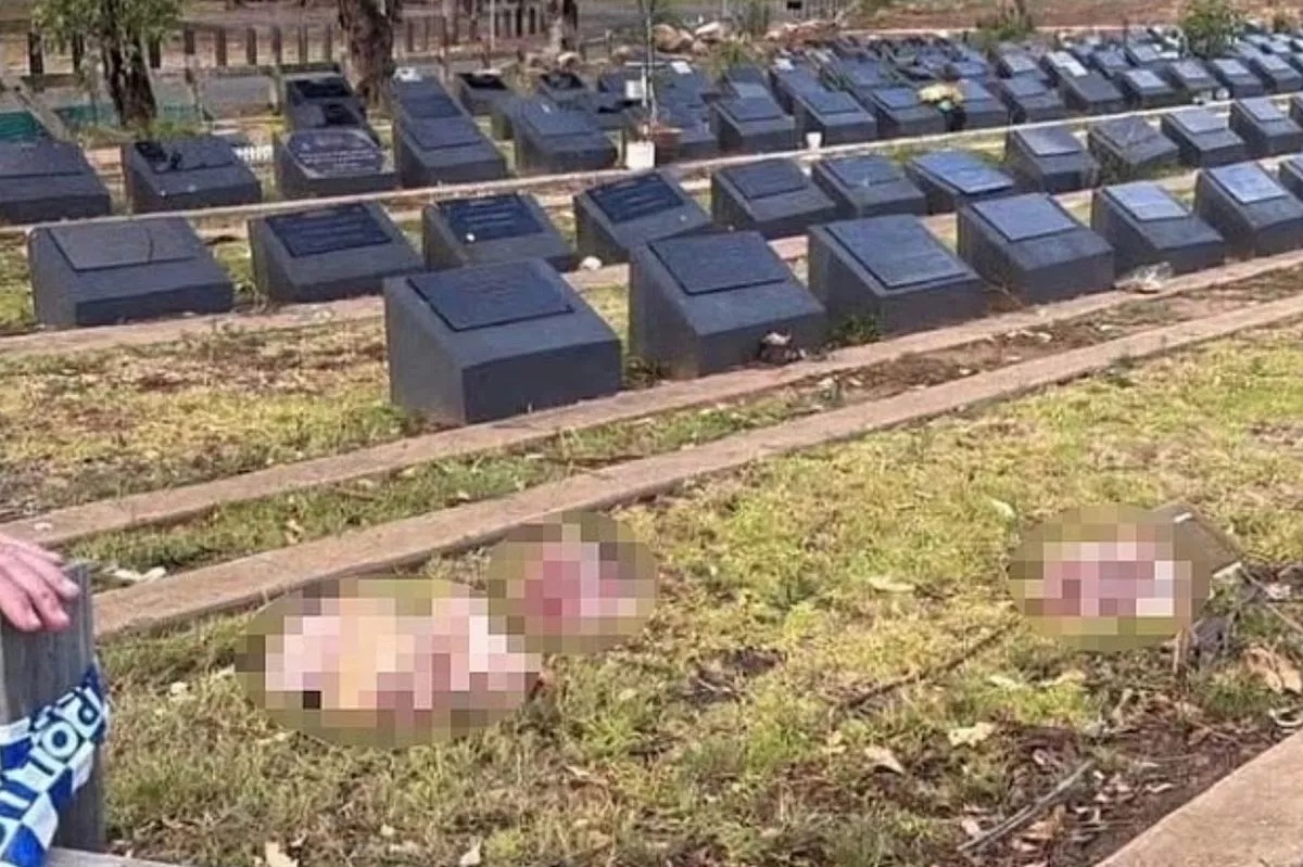 ใครอยู่เบื้องหลัง? วางหัวหมูในสุสานมุสลิม สะเทือนซิดนีย์ หลังเหตุกราดยิงบอนไดบีช